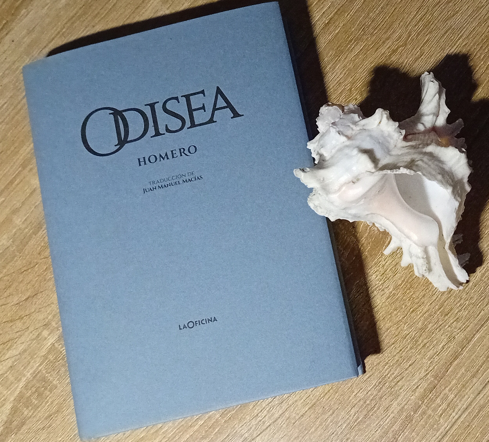 odisea-caracola1.jpg